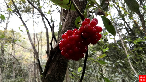 ��һ�غò� �^��׌���ζһ��