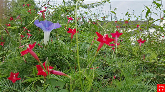 ��һ�غò� �^��׌���ζһ��