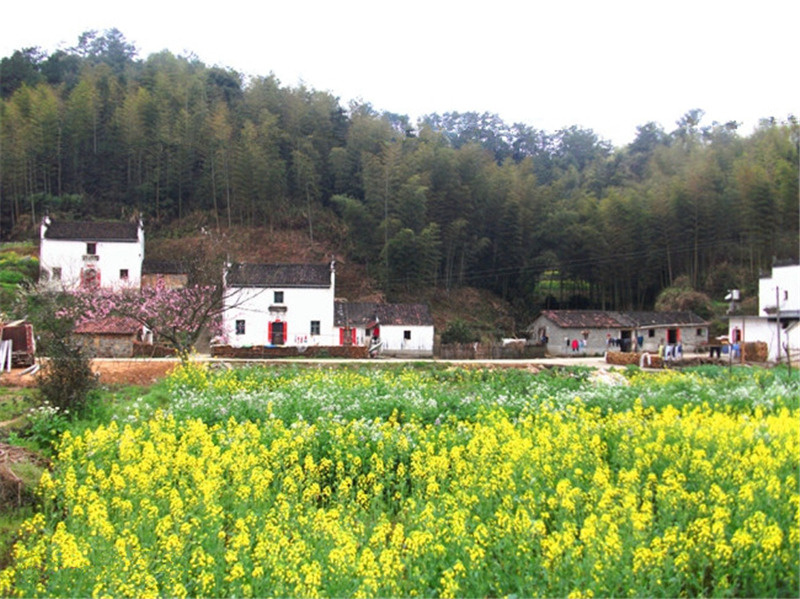 ��Դ����ʯ�{��퍴����