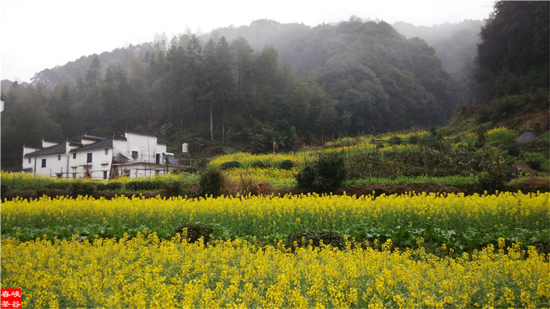 ��Դ����ʯ�{��퍴����