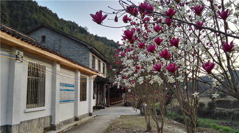 ��Դ����ʯ�{��퍴����