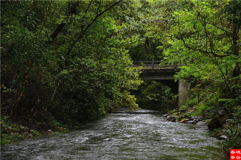 ��Դ����ʯ�{��퍴����