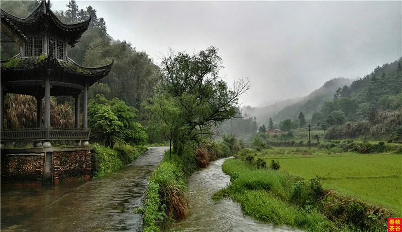 ��Դ����ʯ�{��퍴����