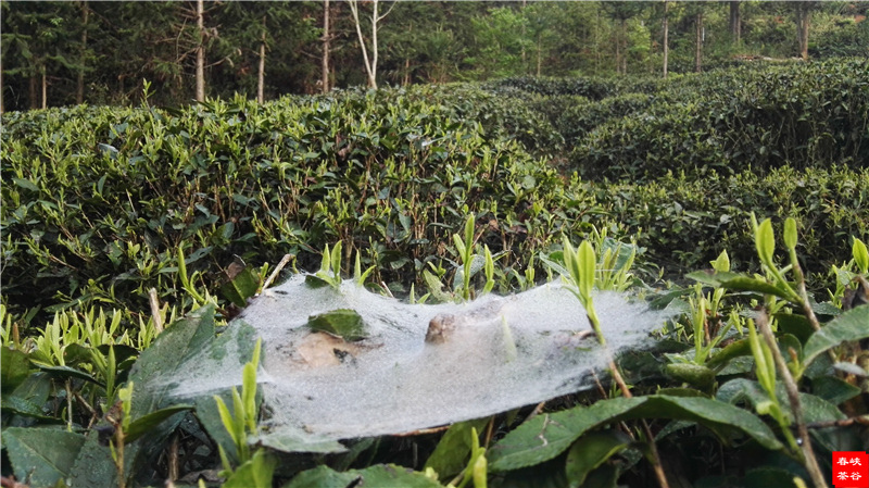 ��Դ����ʯ�{��퍴����