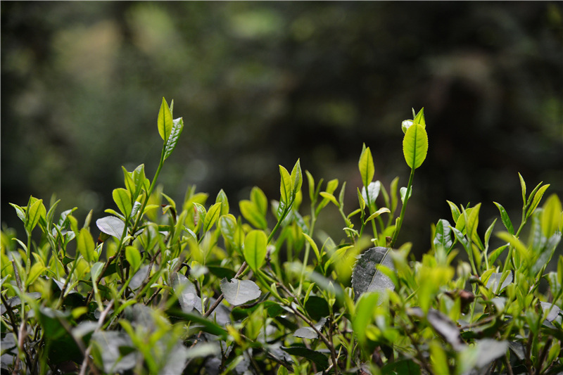 ��Դ����ʯ�{��퍴����