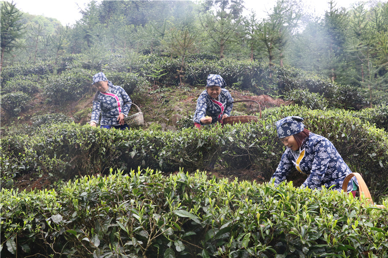 ��Դ����ʯ�{��퍴����