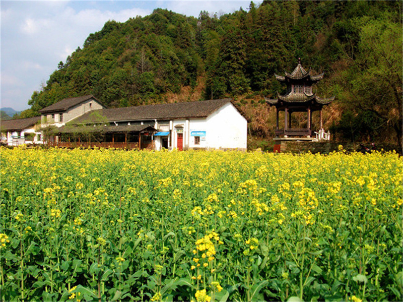 ��Դ����ʯ�{��퍴����