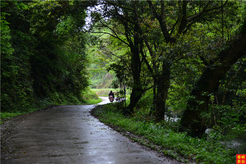 ��Դ����ʯ�{��퍴����