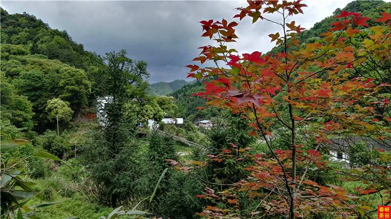 ��Դ����ʯ�{��퍴����