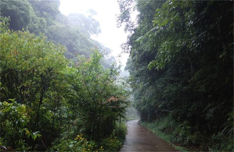 ��Դ����ʯ�{��퍴����