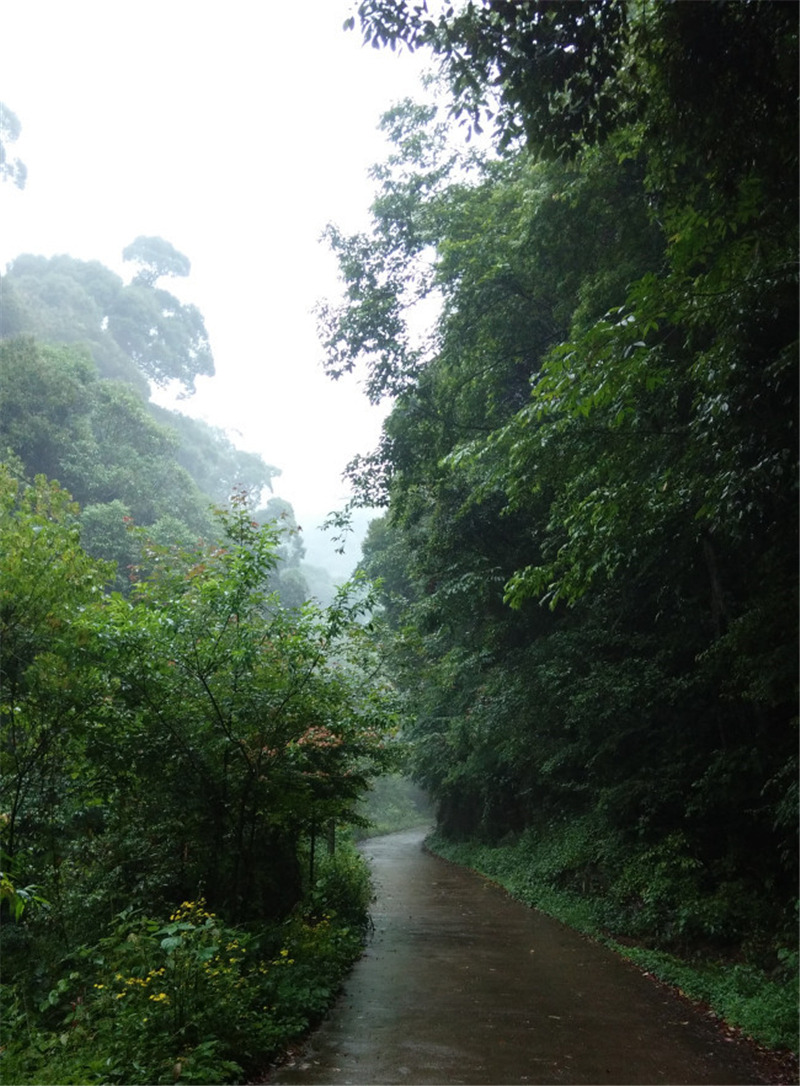 ��Դ����ʯ�{��퍴����