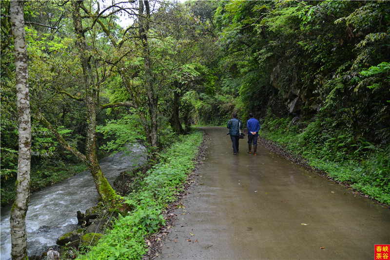 ��Դ����ʯ�{��퍴����