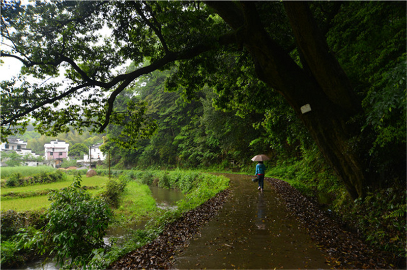 ��Դ����ʯ�{��퍴����