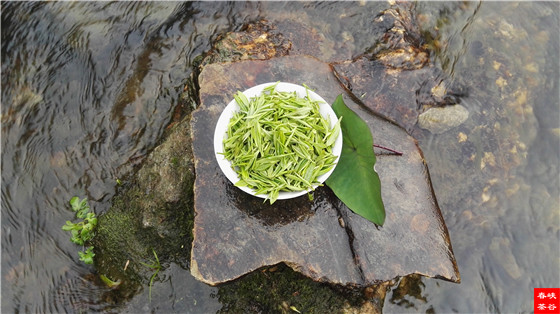 �˵����꣬�������ˎ��