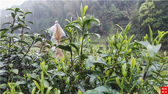 ��Դ�G���ǰ������