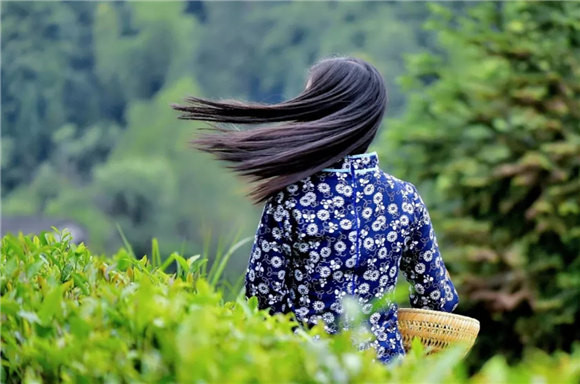 ��Դ�l�g�в���