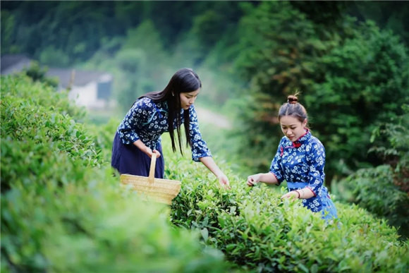 ��Դ�l�g�в���