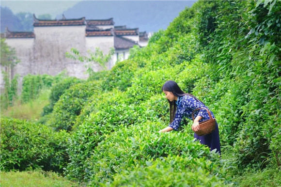 ��Դ�l�g�в���