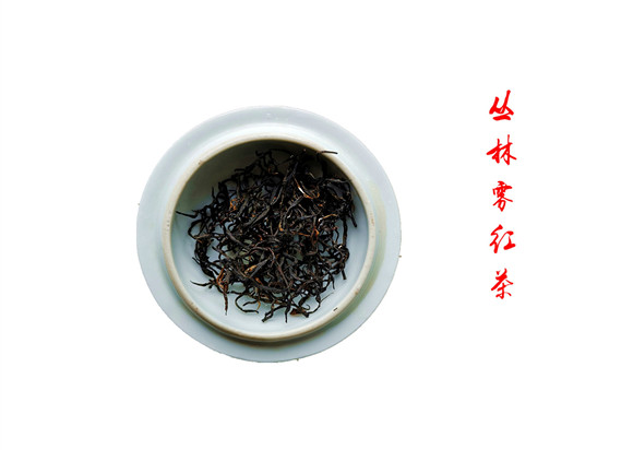 �R�F�w--�{����̎һĨ��