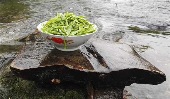 �R�F�w--�{����̎һĨ��