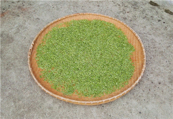 ��ĳ����s�o��������