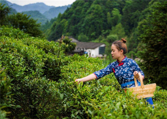 ���cˎ���Pϵ