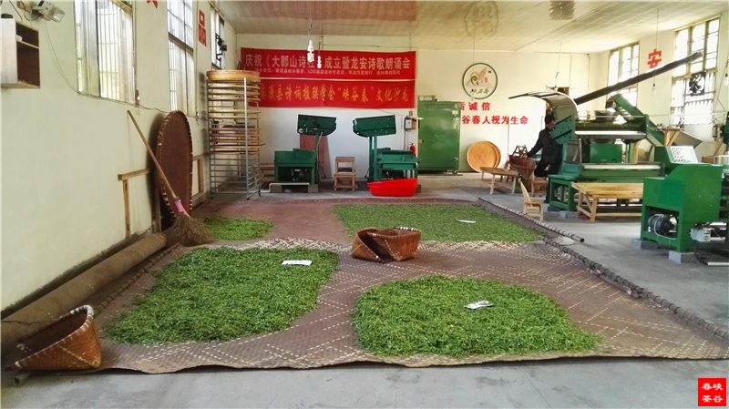 �Ȳ� ���a����������������ľS����