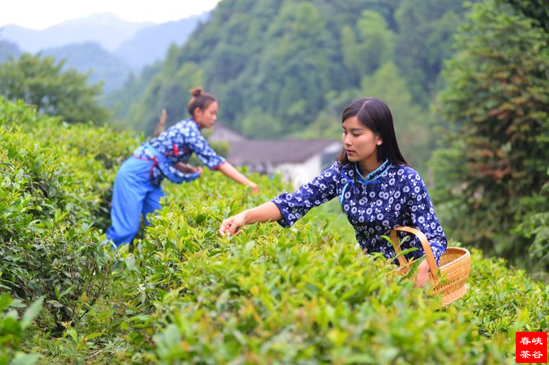 ���~���˂��ճ�������֮�B��֮��