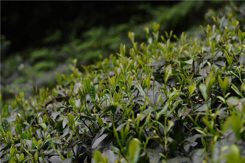 ���~���˂��ճ�������֮�B��֮��