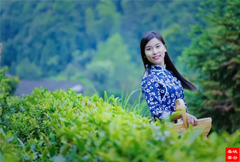 ��ǰ�����ܴ󱊲��ѵ���A