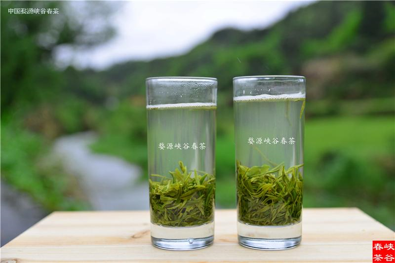 ��ǰ�����ܴ󱊲��ѵ���A