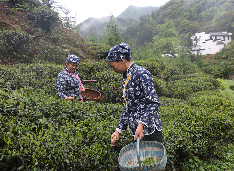 �����²�