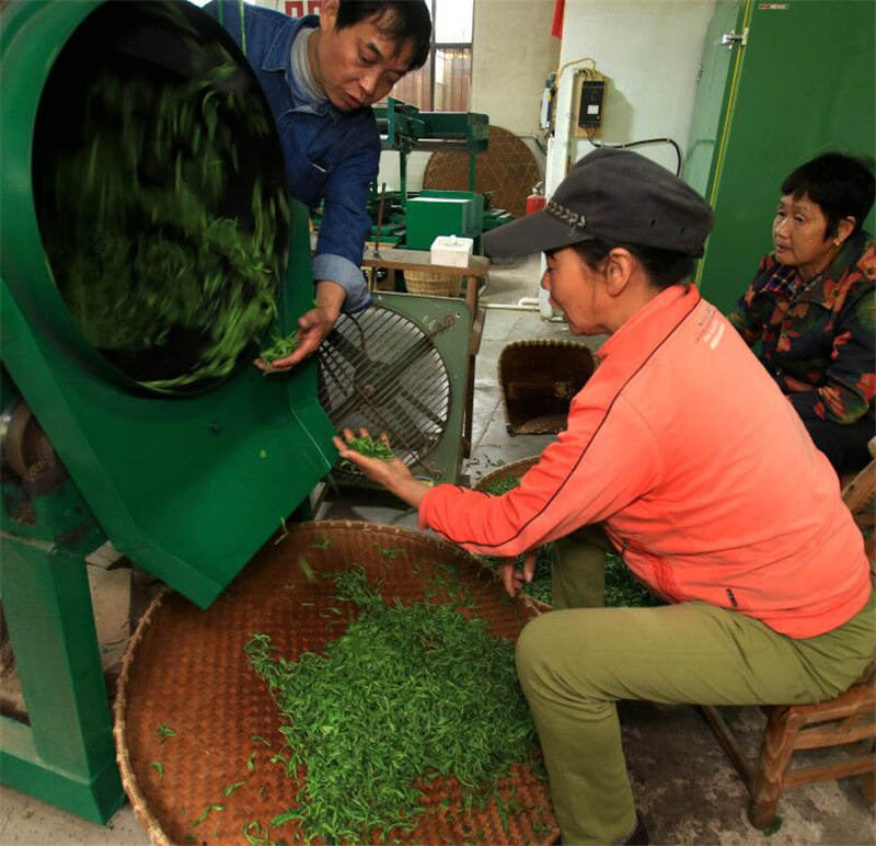 �����²�