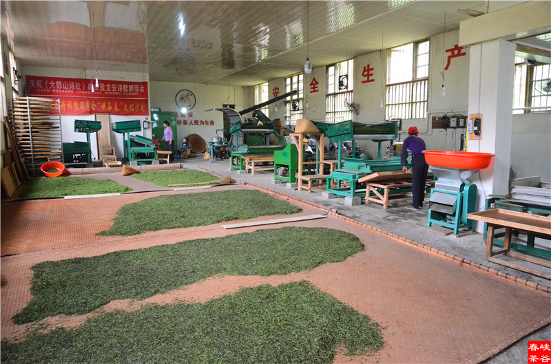 �����²�