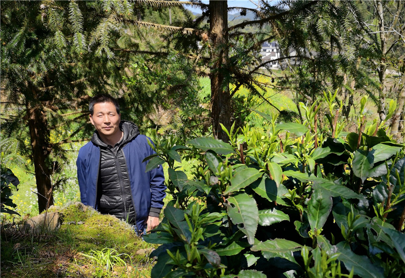 Ʒ����̎�Ŷ���