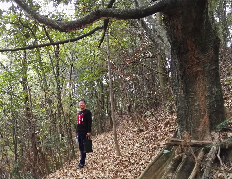 ������{�ȴ����}����Ԋ�~����