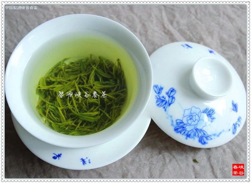 �Ҟ���l�ġ���Դ�G�衱����