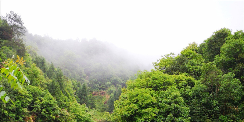 ��Դ��Դ�L��