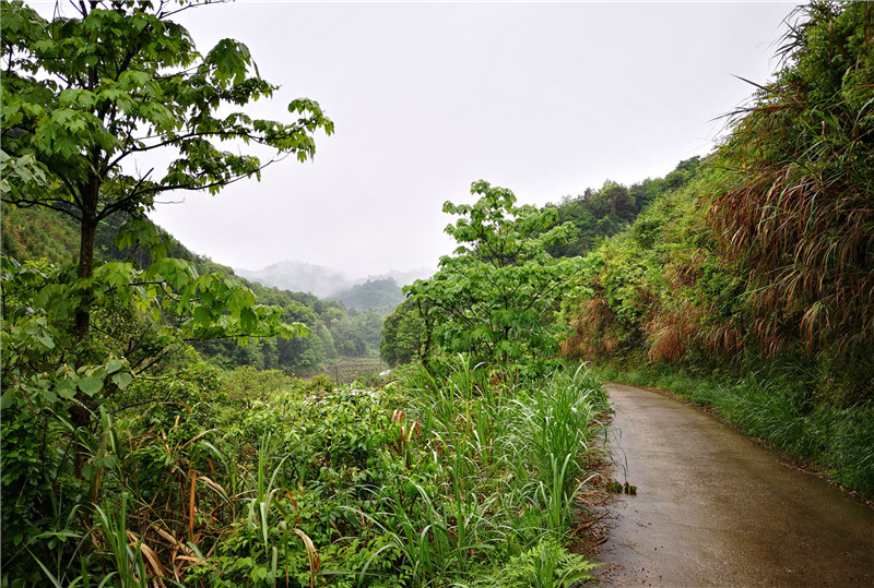 ��Դ��Դ�L��