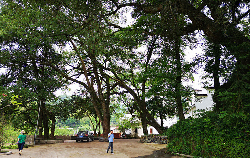 ��Դ��Դ�L��