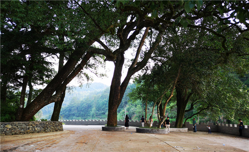 ��Դ��Դ�L��