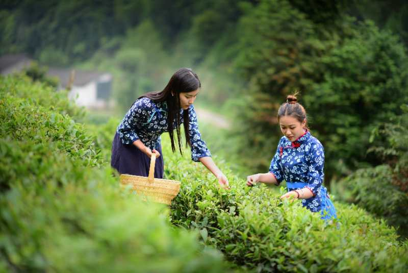 ��ã���һ��Ҫ��������ȥ�I����֪��