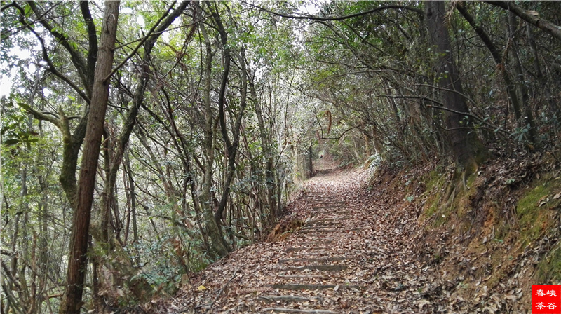 ����Դ�Xʯ���и�