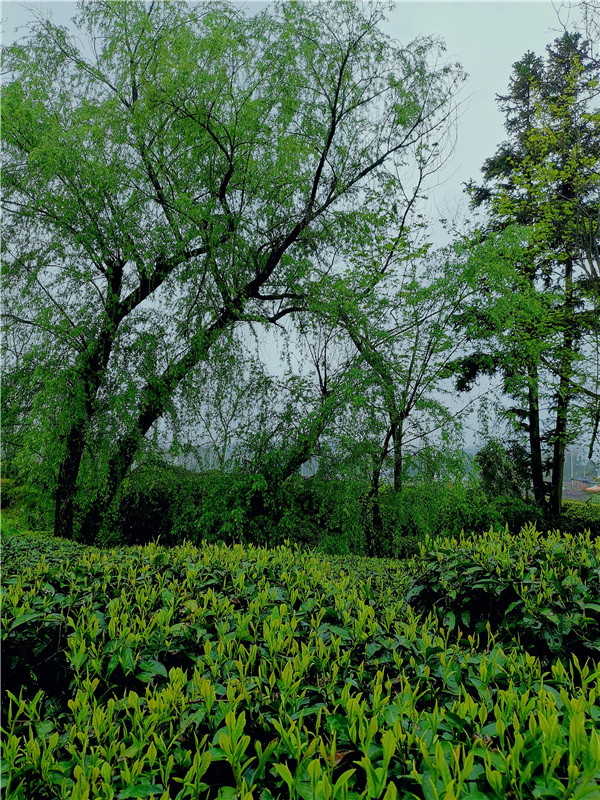 �}�{�ȴ���