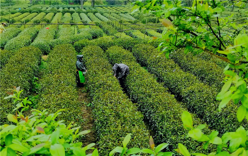 �}�{�ȴ���