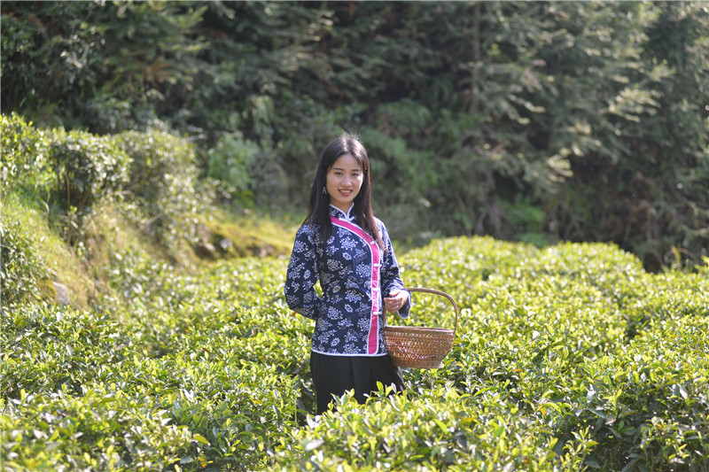 ��ɽ�{�ȴ���@