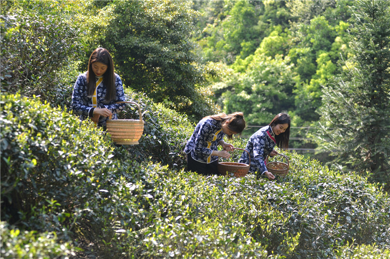 ��ɽ�{�ȴ���@