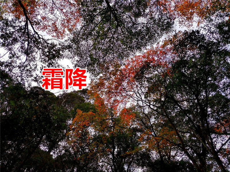 ղ����Ԋ�x��