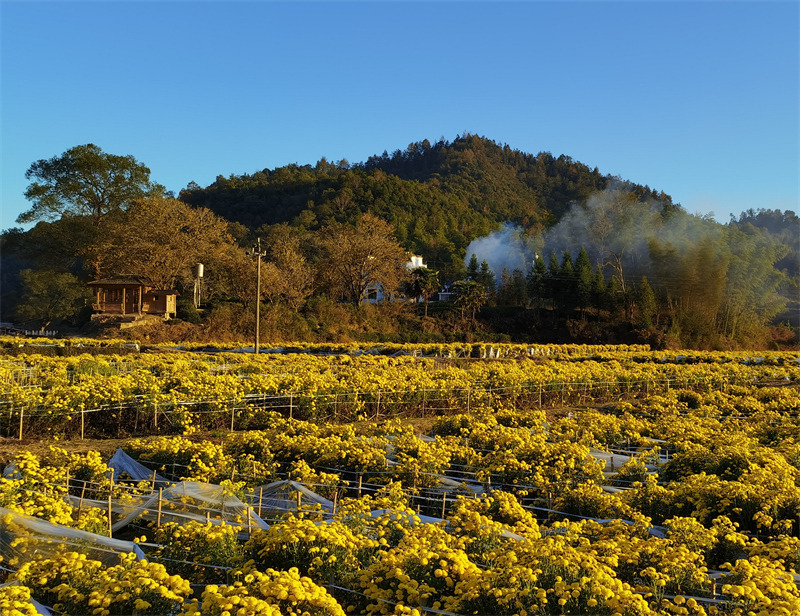 ��Դ������������Ԋ���C��