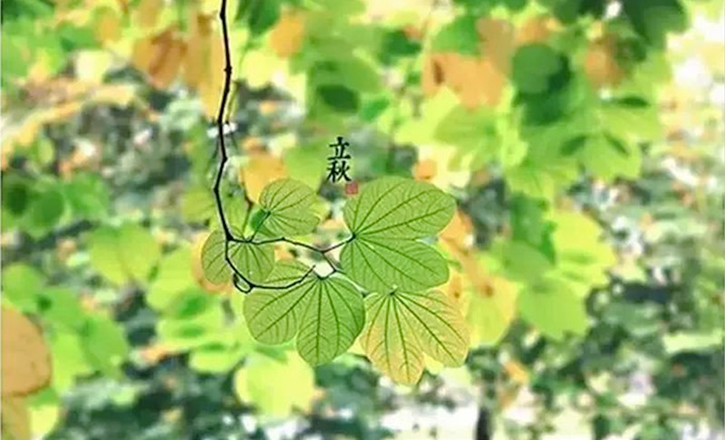 �QӰԊ����